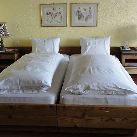فندق Saentis 3*