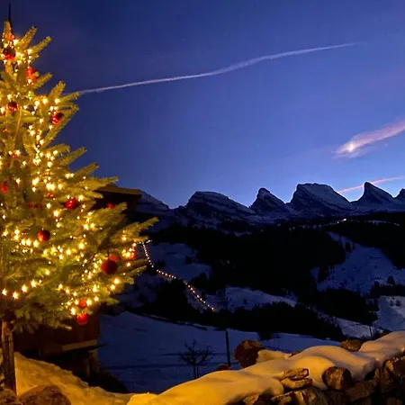 Saentis 3*