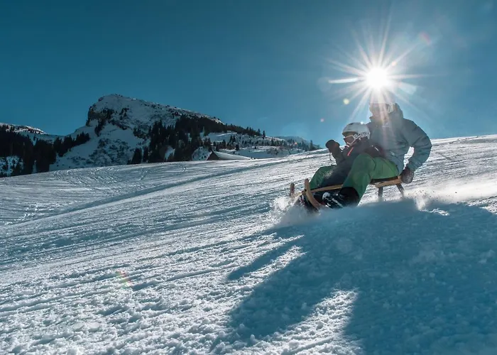 Saentis 3* انترواسر